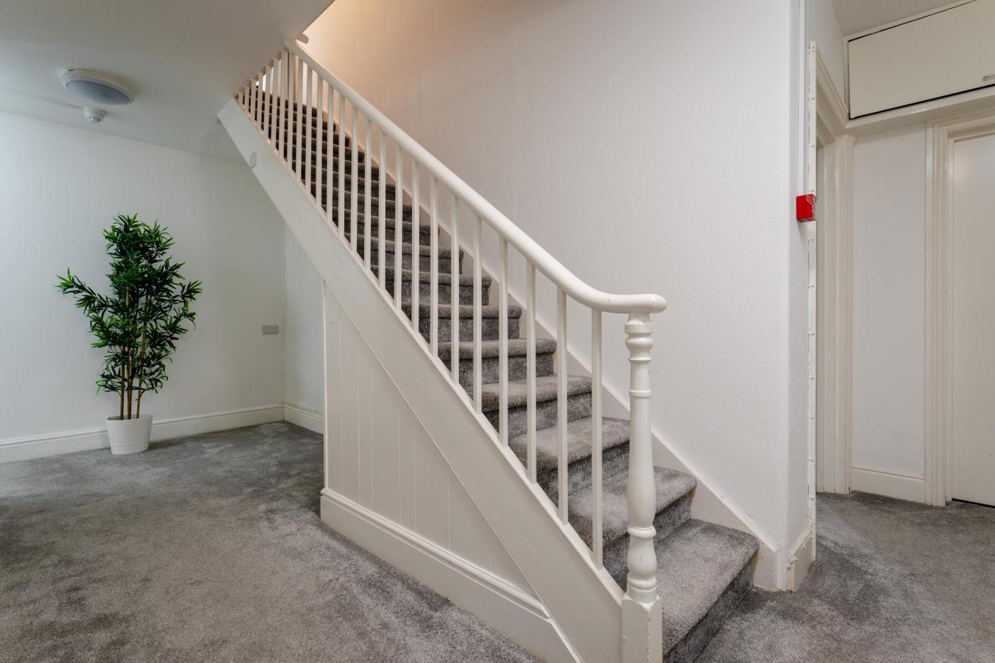 Near Beach, Torquay Heights Modern Apartments, Pet Friendly חדר תמונה